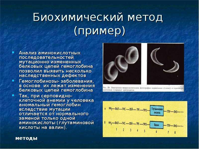 Биохимический метод картинки