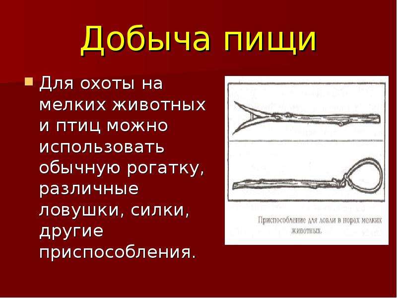 Добыча пищи. Способы добычи пищи. Способы добычи пищи в природе. Способы добывания еды. Добывание пищи в природных условиях.