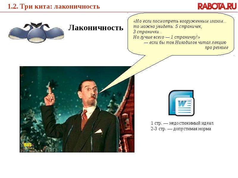 Черный пояс по резюме Шатилова Евгения, руководитель проекта Rabota.ru Москва, 2011. - презентация_, слайд №4