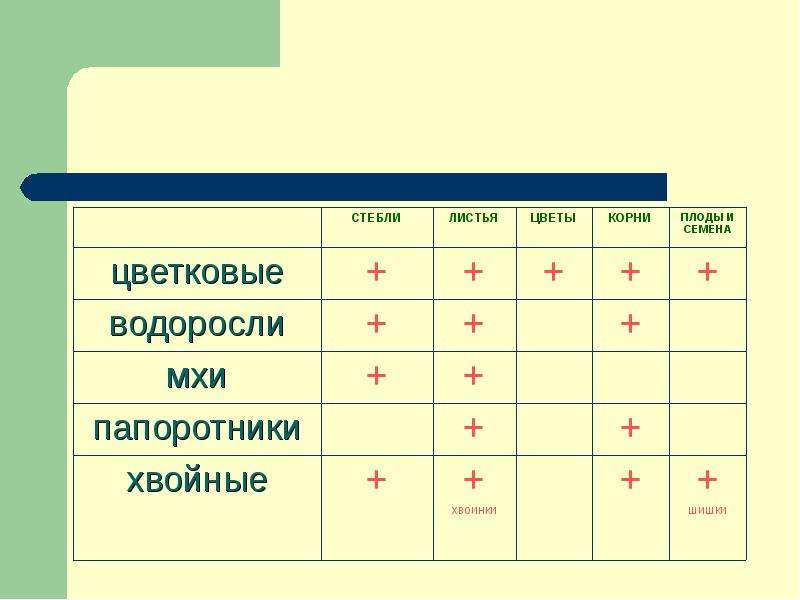 Водоросли мхи папоротники. Водоросли стебли листья цветы корни плоды и семена мхи папоротники. Есть у водорослей корень стебель листья. Водоросли стебли листья цветы корни плоды и семена. У водорослей есть цветок и плод.