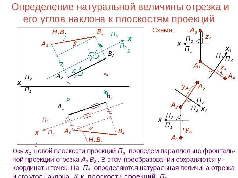 Длина отрезка на плоскости. Натуральную величину отрезка EF определяет проекция. Натуральную величину отрезка аб определяет проекция. Определение натуральной величины отрезка. Построение натуральной величины отрезка.