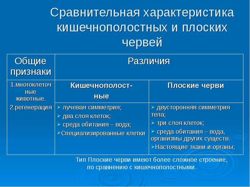 План ответа общая характеристика червей