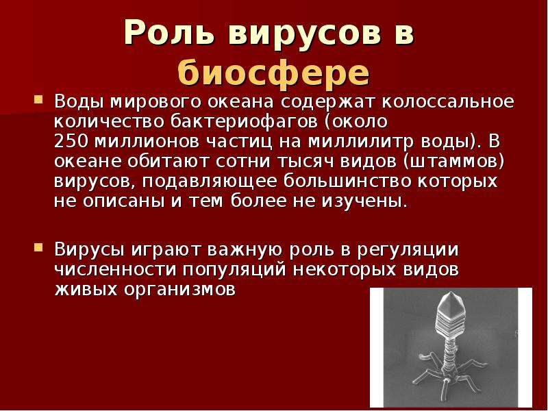 Роль вирусов в природе 5 класс. Вирусы биология. Информация о вирусах. Вирусы презентация. Вирусы вывод.