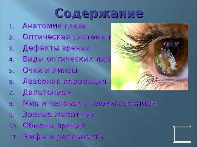 Зрение автор. Самое лучшее зрение у человека. Мифы и зрении животных. Проблемы хорошего зрения реферат. Дефекты глаза для проекта.