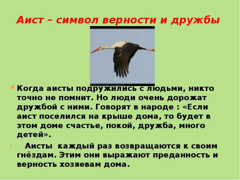 Аист символ. Что символизирует Аист. Аист для презентации. Аист символ чего.