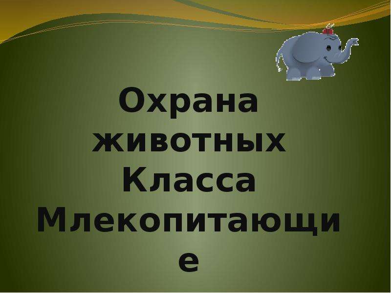 Обобщение по теме: «класс млекопитающие». Меры по охране млекопитающих. Мероприятия по охране млекопитающих. Охрана класса млекопитающих.