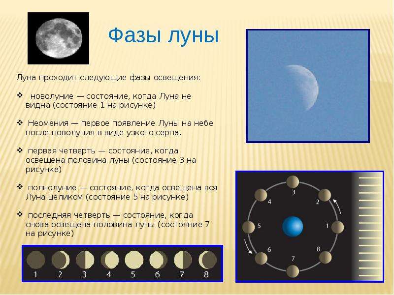 Система Земля-Луна - презентация по Астрономии _, слайд №8