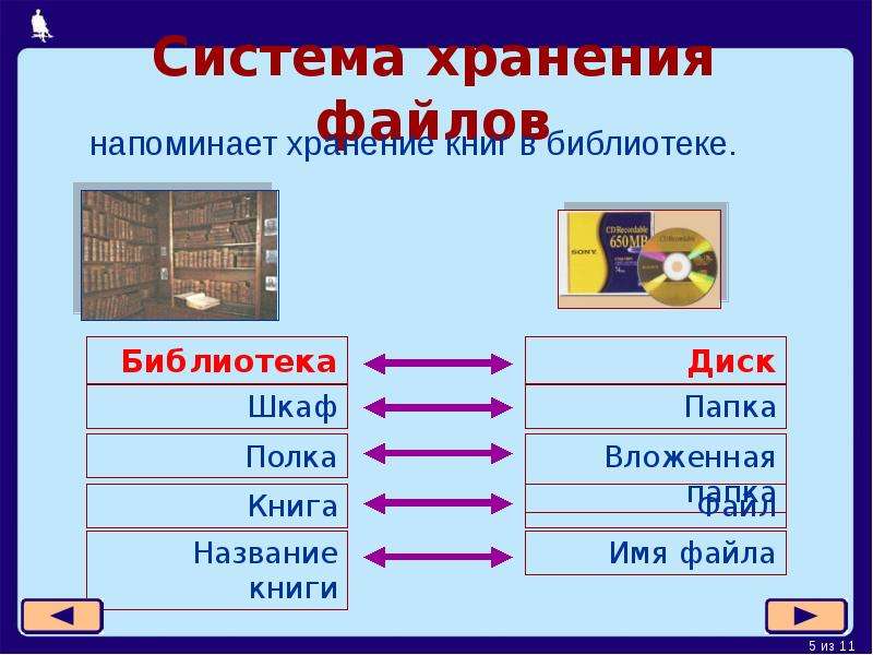 Папка с файлами для презентации. Файлы и папки 7 класс презентация. Холодное хранения файлов. Шутка для хранения файлов ПК.