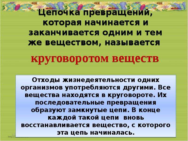 Презентация на тему круговорот веществ в природе 9 класс биология