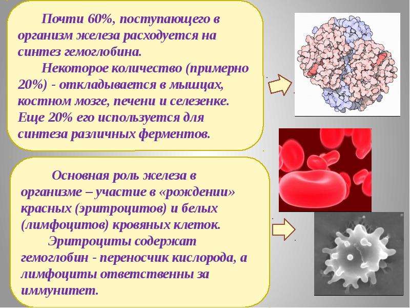 Железо в нашей жизни проект по химии