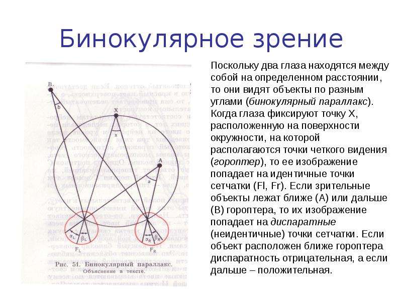 Что такое идентичные и диспаратные точки сетчатки каково их значение в восприятии изображения