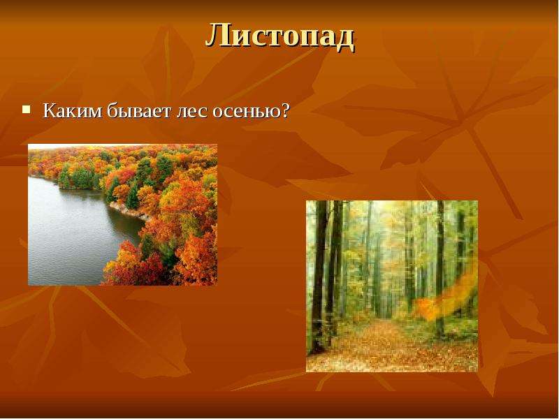 Бунин листопад презентация. Листопад Бунина. Презентация осень. Презентация листопад. Презентация на тему листопад.