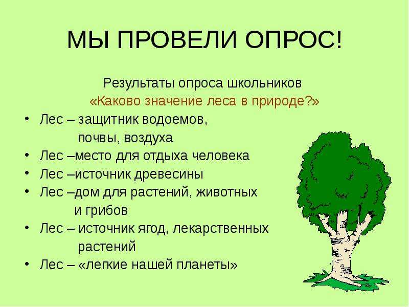 Слово forest