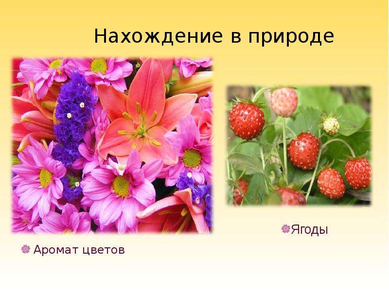 Нахождение эфиров в природе. Нахождение в природе сложных эфиров. Формула запаха цветов. Эфиры с запахом ягод. Сложные эфиры запахи цветов.