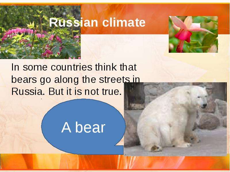 Russian climate. Climate in Russia topic. What is climate in Russia. Russian climate картинки для презентации.