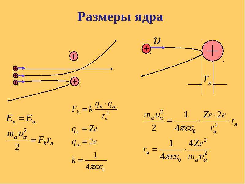 Диаметр ядра. Размер ядра. Толщина ядра. Размер ядра в физике. Найти Размерность ядра.