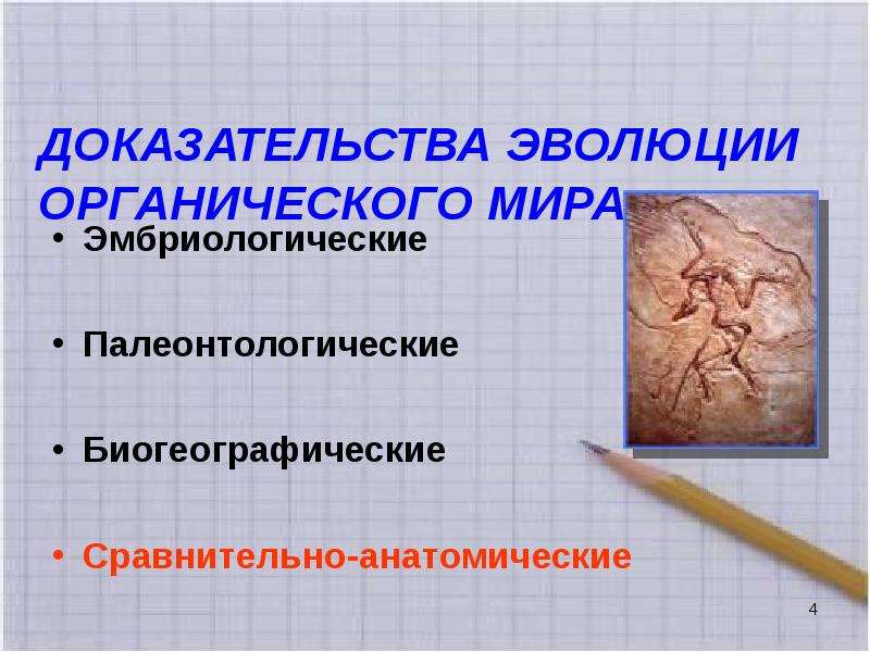 Доказательство эволюции органического. Доказательства эволюции палеонтологические эмбриологические. Палеонтологические и биогеографические доказательства эволюции. Доказательства эволюции органического мира. Биогеографические доказательства эволюции органического мира.