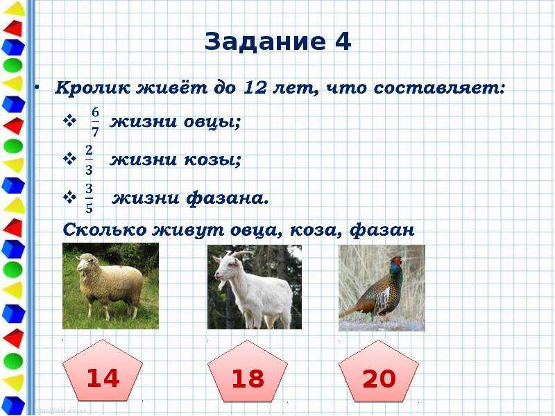 5 3 составляет 1 7. Кролик живет до 12 лет что составляет 6/7 лет жизни овцы. Занимательные задачи на обыкновенные дроби 5 класс. Логические задачи с дробями. Логические задачи по обыкновенным дробям.