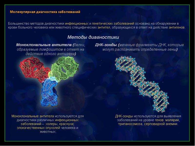 Молекулярно генетический метод это. Молекулярная диагностика. Молекулярная диагностика генетических заболеваний. Молекулярные методы диагностики наследственных заболеваний. Молекулярно генетический метод диагностики наследственных болезней.