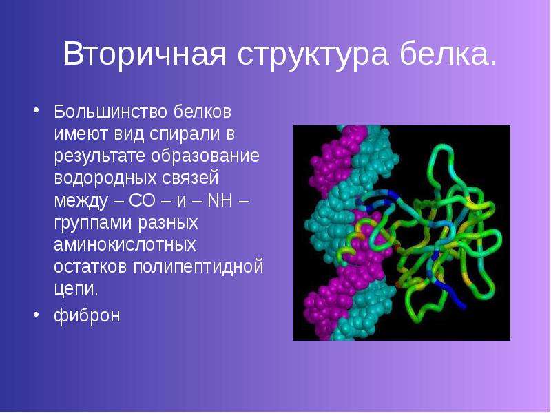 Презентация по теме белки