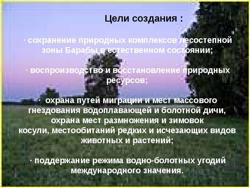 Природные зоны новосибирской области презентация