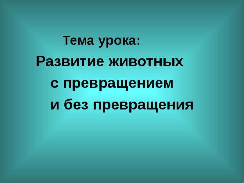 Развитие с превращением у животных презентация 10 класс