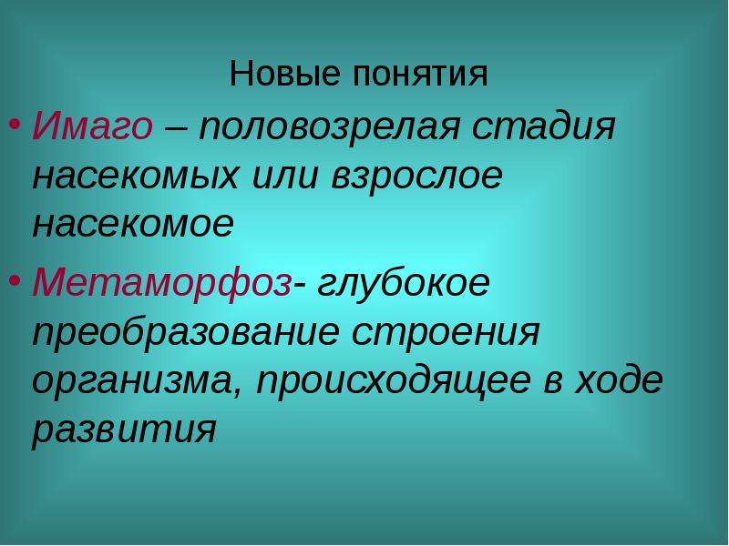 Презентация на тему развитие животных с превращением и без превращения 7 класс