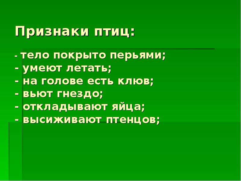 Главные признаки птиц. Признаки птиц. Характерные признаки птиц. Главный признак птиц. Отличительные признаки птиц.