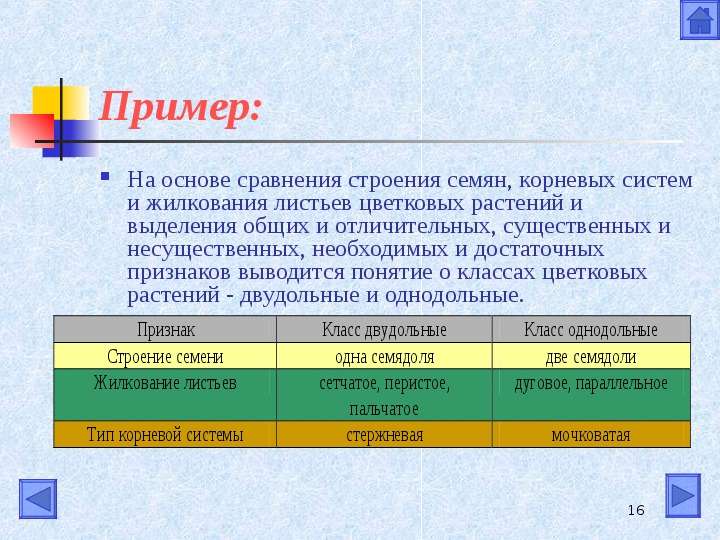 Сравнить структуру. Основа сравнения. Основания для сравнения.