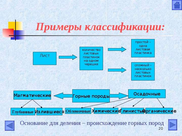 Примеры классификации. Привести пример классификации. Примеры классификаций в жизни. Классификация примеры из жизни.