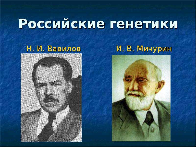 Ученые генетики. Российские генетики. Российские ученые генетики. Российские генетики и их достижения.