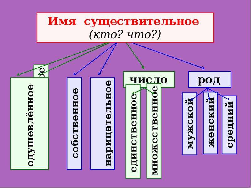 Что такое существительное 3 класс русский язык. Имя существительное 3 класс. Имя существительное 3 кл. Имя существительное презентация. Презентация по русскому языку на тему имя существительное.