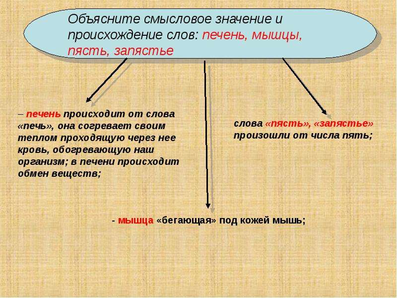 Обозначьте смысловые. Смысловое значение слова. Смысловое значение текста. Объясните происхождение термина презентация. Смысловая значимость.