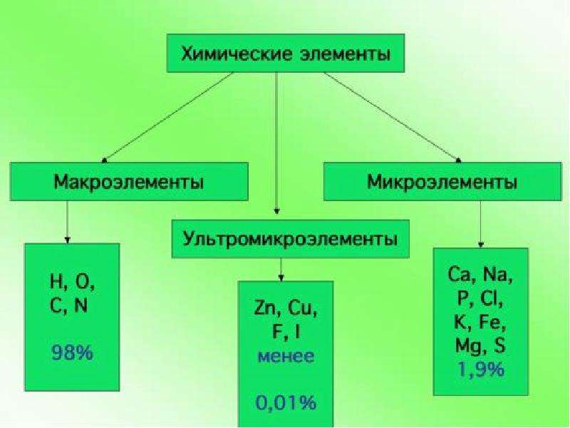 Презентация на тему микроэлементы