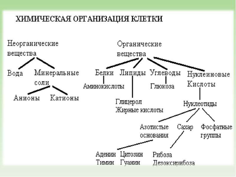 Презентация химическая организация природы 9 класс