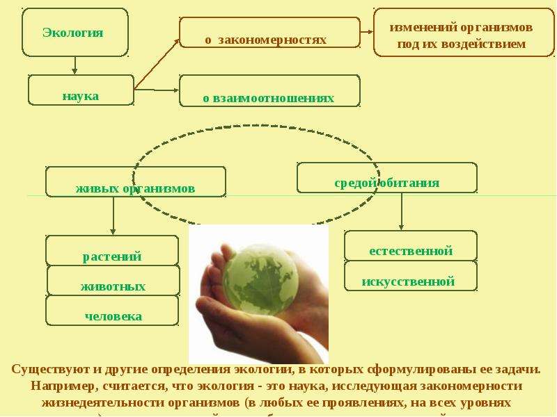 Экология растений презентация