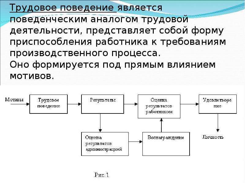 Поведение является деятельностью. Модели трудового поведения. Структура трудового поведения. Формы трудового поведения. Трудовое поведение.