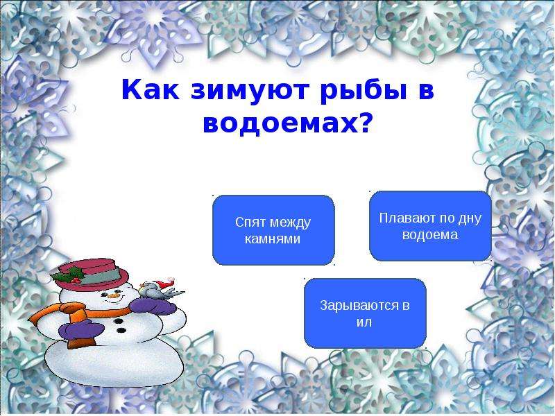 Изменения в природе зимой. Как зимуют рыбы. Презентация как рыбы зимуют. Тест про зиму. Как зимуют рыбы в водоемах?.