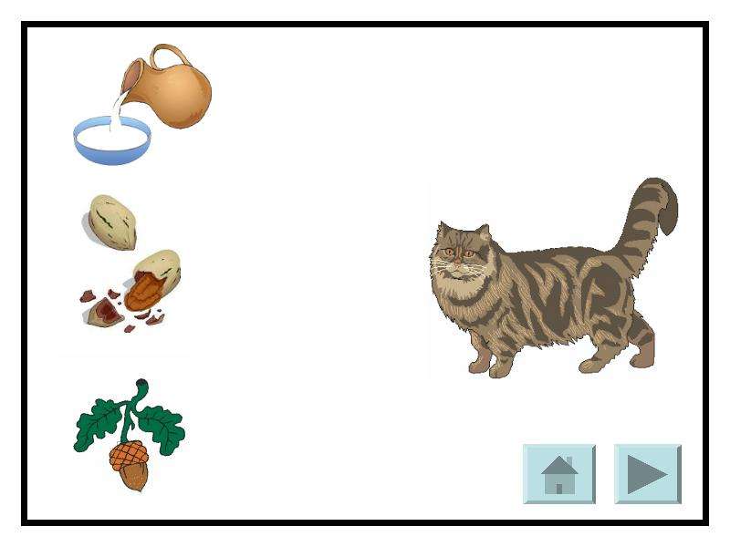 Кошка презентация для дошкольников