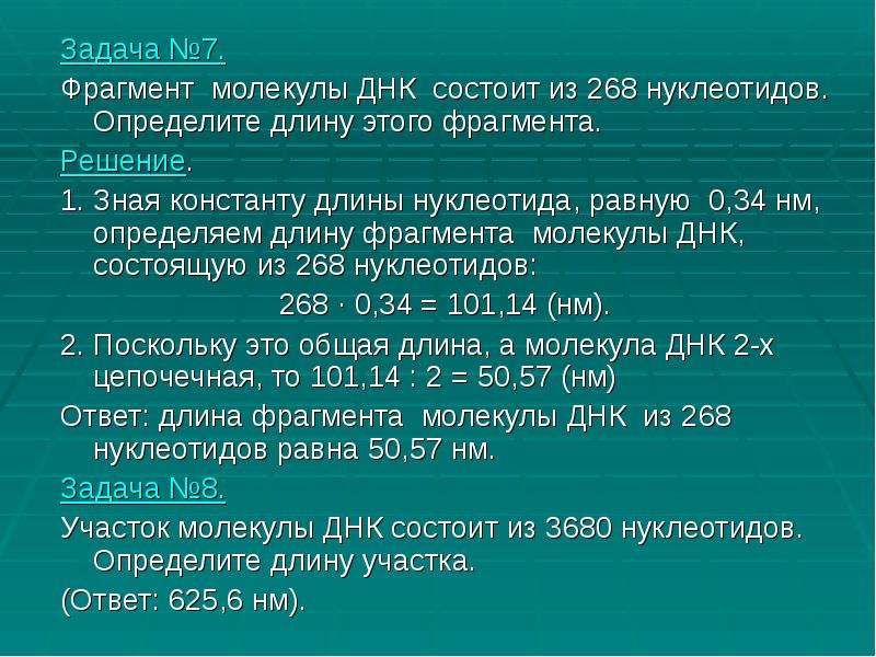 Фрагмент молекулы днк. Длина фрагмента ДНК. Определить длину фрагмента ДНК. Как определить длину участка ДНК.