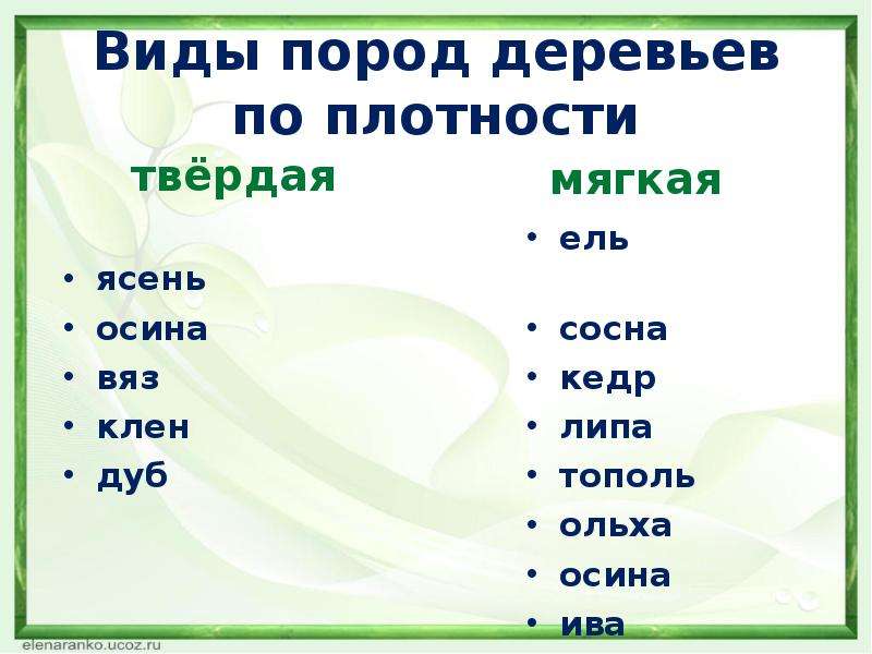 Твердые породы. Таблица мягких пород древесины. Твердые породы древесины перечень. Твёрдые и мягкие породы древесины таблица. Древесина твердых пород список.