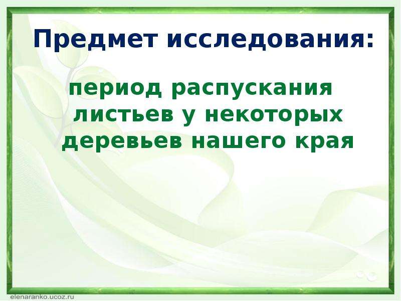 Периоды исследования. Период исследования. Метод края презентация. Отчет по распусканию листьев.