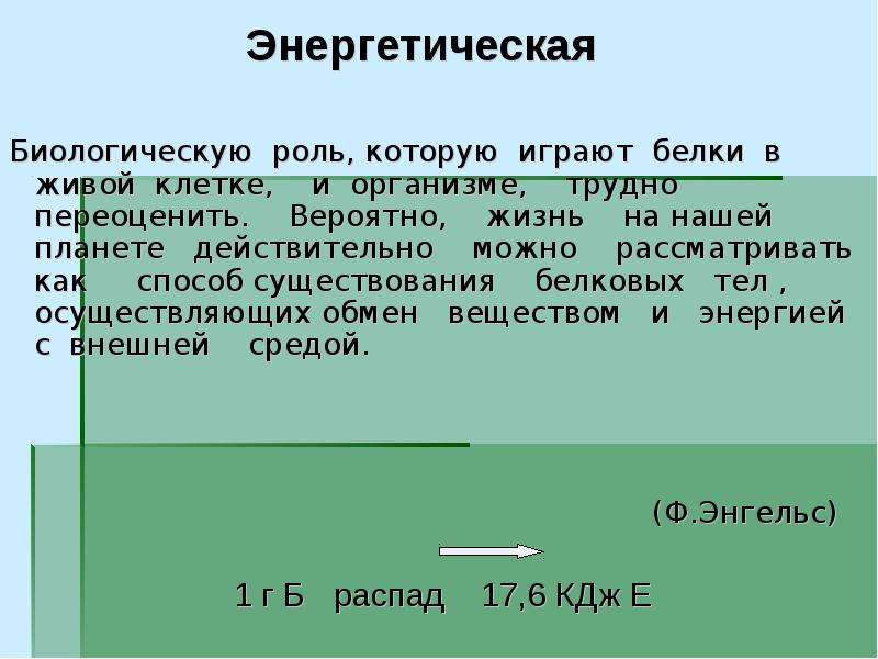 Энергетическая биология. Белки играют роль в клетке. Какую роль играют белки. Какую роль в жизни белки играет освещённость. Какую роль в клетке играют белки 5 класс ответы.