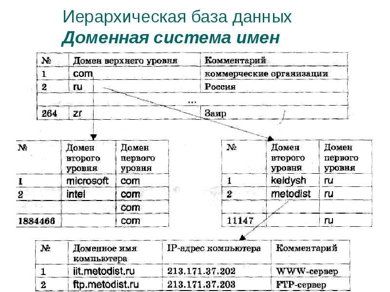 Информатик 38. База данных доменных имен хранится. Иерархическая база данных плюсы и минусы. Иерархическая БД плюсы и минусы. Урок информатике БД миллионер.