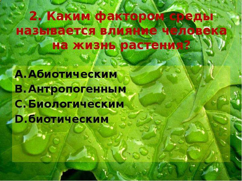 Факторы жизненной среды. Каким фактором среды называется влияние человека на жизнь растений. Влияние влажности на растения. Влияние растений на жизнь человека. Влияние факторов среды на растения.