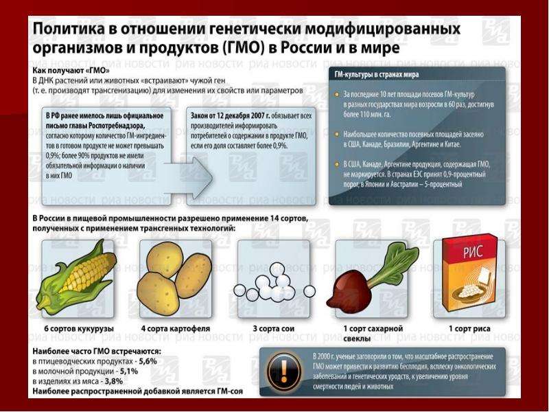 Генномодифицированные организмы презентация