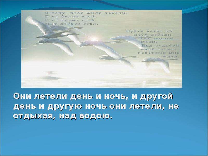 Толстой лебеди рассказ. Презентация лебеди толстой. Урок чтения лебеди толстой. Лебедь толстой 3 класс. Л толстой лебеди презентация 3 класс.