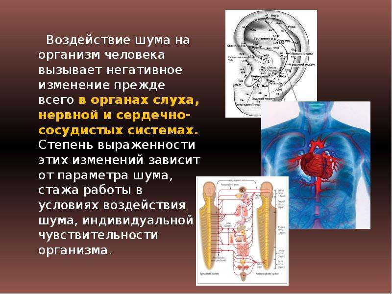 Воздействие шума на организм человека картинки