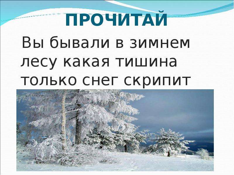 Лес предложение. Красивые предложения о зиме. Предложения на тему зимний лес. Предложение о зиме в лесу. Предложение зимой в лесу.