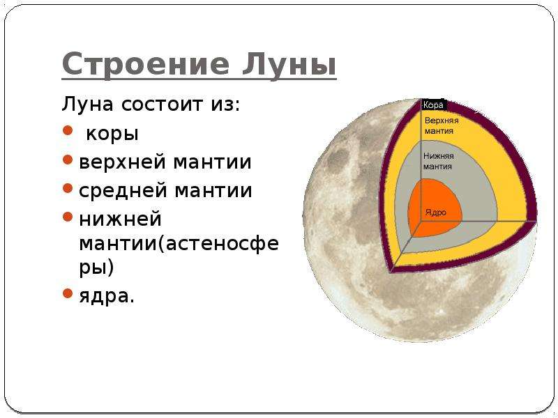 Схема строения луны